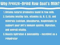 Probioticos y electrolitos en leche liofilizada para digestión de mascotas