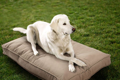 Cama para perro de doble cara de Sherry Kline Sunbrella en interior y exterior, versátil y cómoda.