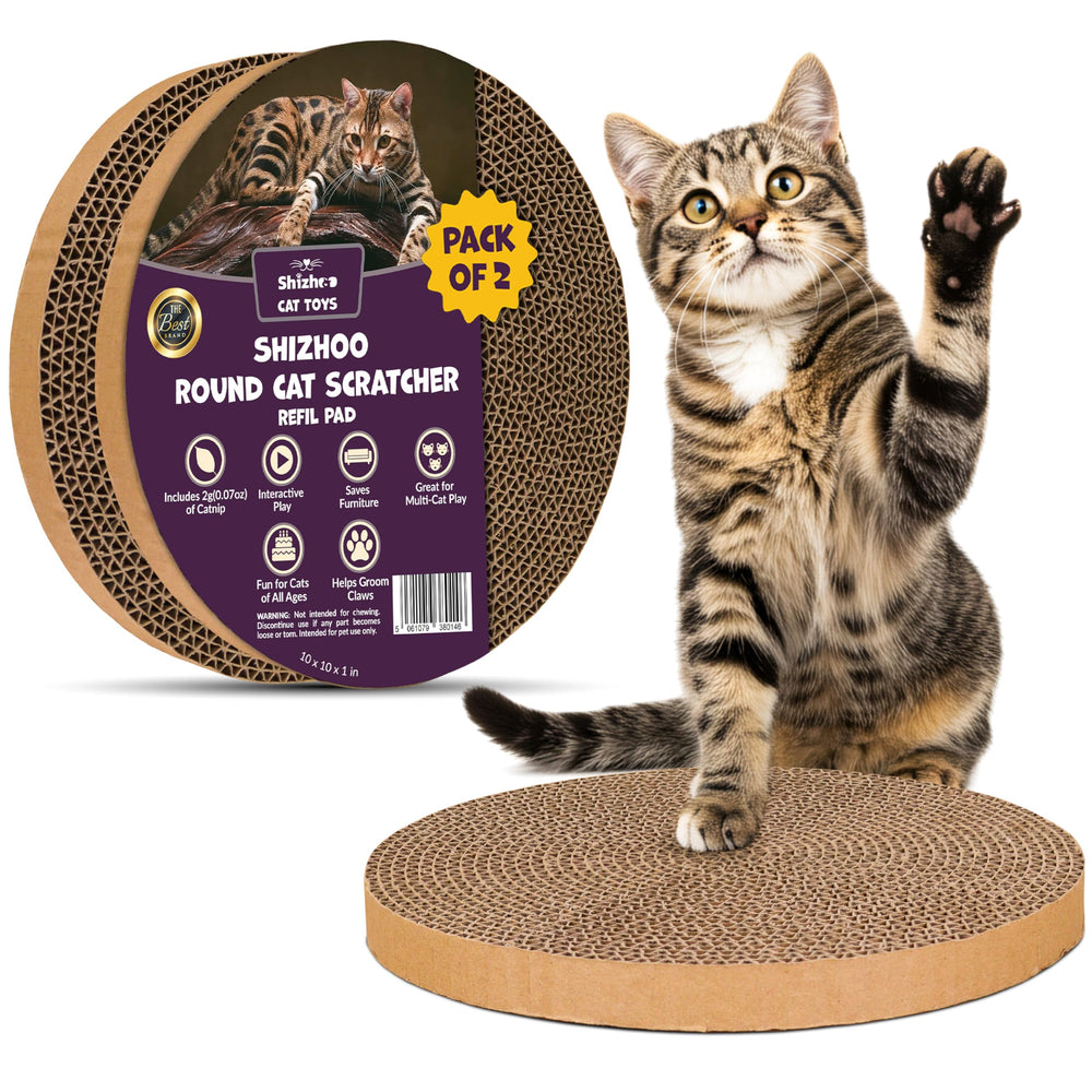 Shizhoo almohadillas repuesto rasca-gatos, dos unidades listas para juego activo.