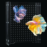 Divisor acrílico SIKGFPN para acuario de 5 galones con ventosas duraderas.
