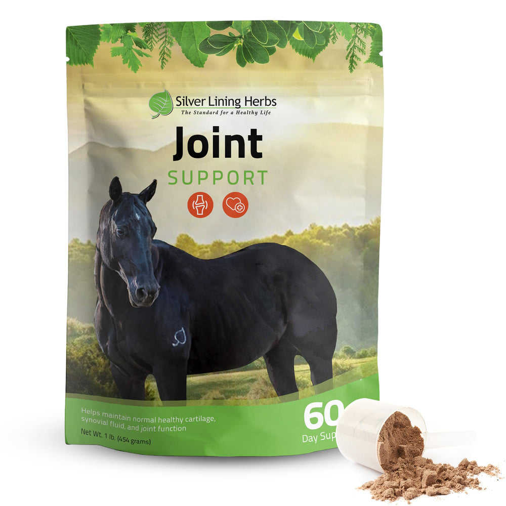 Silver Lining Herbs apoya articulaciones de caballos, imagen de botella para dosificación fácil