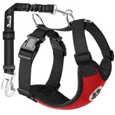 SlowTon arnés para perro con doble clip, ideal para coche.