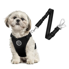 SlowTon arnés perro con doble clip, seguridad en coche para paseos más tranquilos.