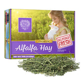 Small Pet Select alfalfa heno para juveniles, favorece crecimiento y desarrollo