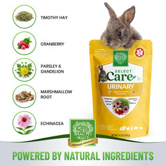 Small Pet Select fibra natural, favorece la salud digestiva y urinaria con uso diario.