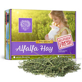 Small Pet Select heno de alfalfa para conejos jóvenes, favorece crecimiento y desgaste dental.