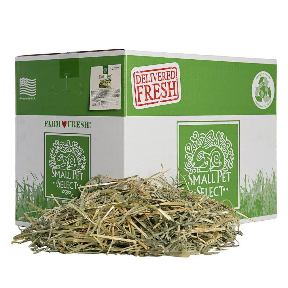 Small Pet Select heno de avena en bolsa 20 lb, opción fresca para variar la dieta