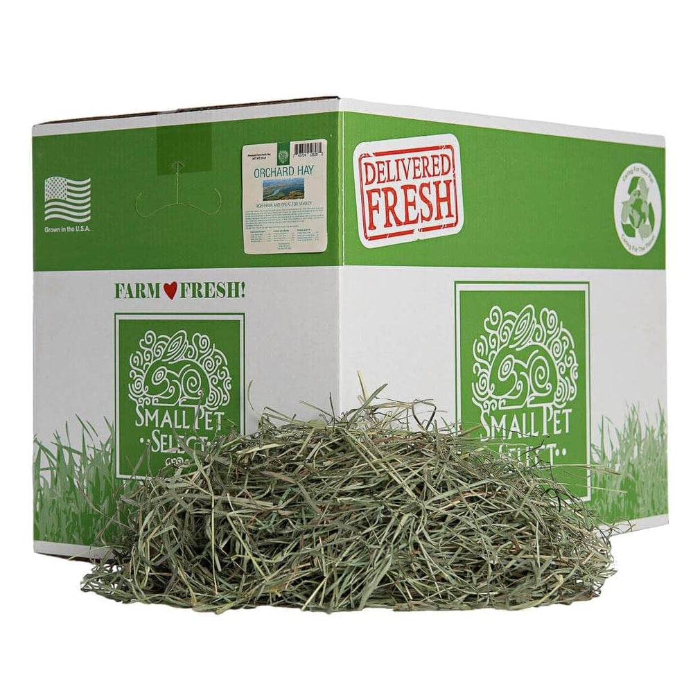 Small Pet Select heno de pasto de huerto en caja resistente para almacenamiento fácil