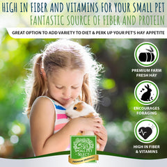 Small Pet Select mezcla de heno variado con hierbas, ideal para diversificar la dieta.