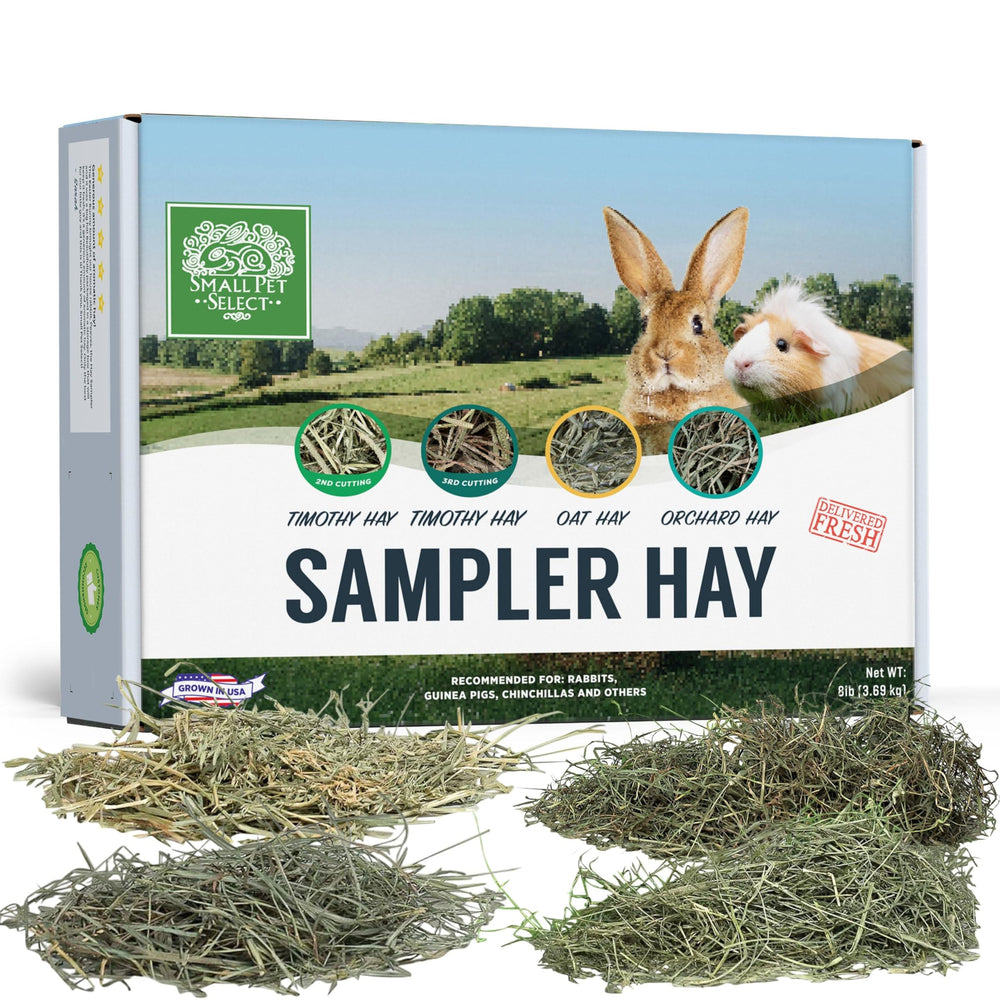 Small Pet Select muestra heno timothy 2do corte para dieta equilibrada