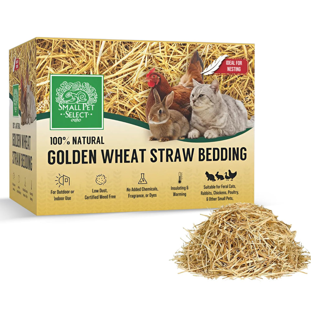 Small Pet Select: paja dorada para cama natural y segura.