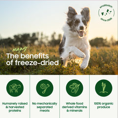 smallbatch Pets riñones de ternera crudo, aminoácidos esenciales para perros.
