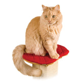 SmartCat Perch elevada para el post, ofrece seguridad y descanso cómodo.