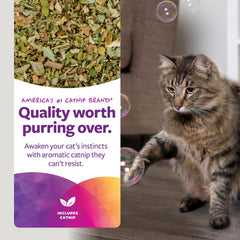 Bubble Nip catnip aromático natural estimula sentidos del gato.