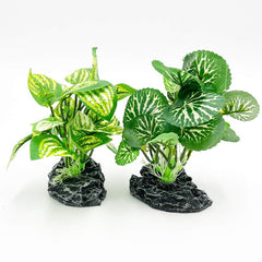 Empaque Smoothedo-Pets con planta verde lista para usar en acuarios