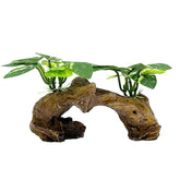 Smoothedo-Pets hoja seda betta, decoración suave para acuario