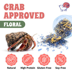 Snout and Shell: dieta-variedad con carbohidratos y beta-caroteno para color y energía.