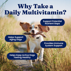 Solid Gold Dog Multivitamin, antioxidantes para soporte de inmunidad y bienestar.