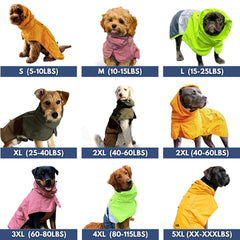 Spark Paws cintas reflectantes para mayor visibilidad nocturna