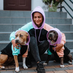 Spark Paws Sudadera Humana Bloque de Color Ciber, manga raglán para libertad de movimiento.
