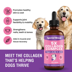 Special Breed Colágeno para perros: piel suave y pelaje brillante con fórmula líquida.