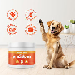Special Breed: pasto de Miscanthus para apoyo de la digestión diaria.