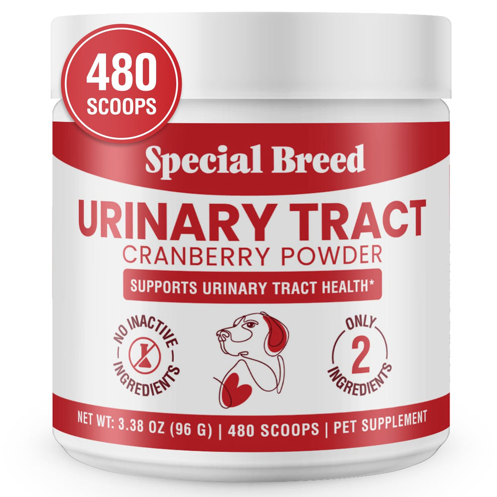 Special Breed UTI para perros: polvo suave para apoyar la salud urinaria diaria.