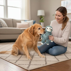 SPOT Fun Sloth tiene textura de peluche ultra suave para mordiscos tranquilos.