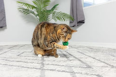 SPOT Wool Pom Poms: juguete interactivo para gatos que estimula juego constante