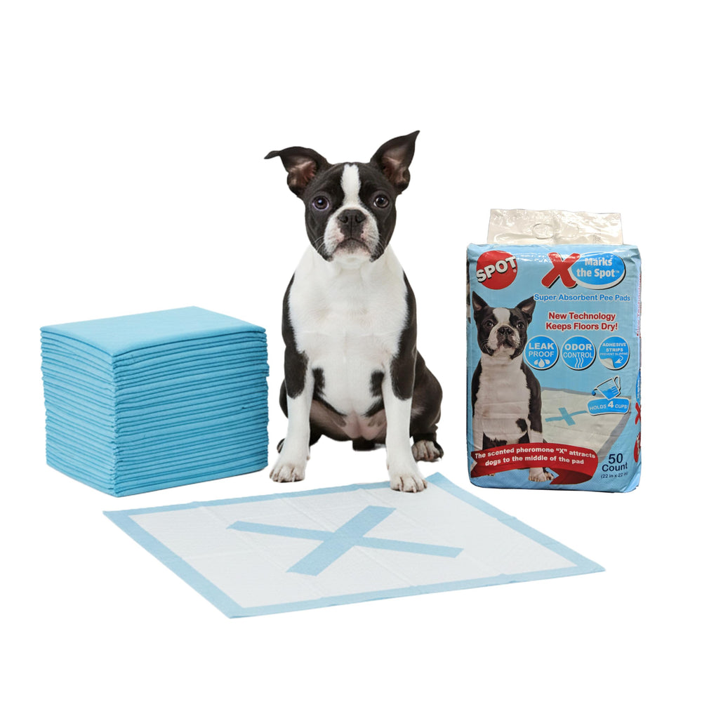 SPOT X centro con X atrae al cachorro al centro para entrenamiento