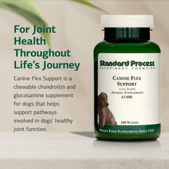 Standard Process Canine Flex Support forma ovalada, pastillas para articulaciones caninas.