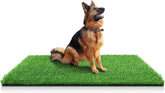 STARROAD-TIM césped artificial para perros, uso interior y exterior con drenaje rápido.
