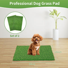 STARROAD-TIM entrenamiento de perros con césped artificial en interior seguro.