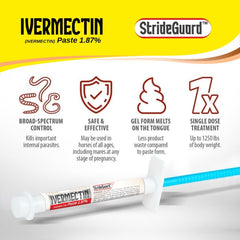 StrideGuard dosificación precisa en jeringa de 6,08 g para caballos.