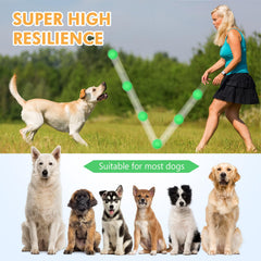 Conjunto de 36 pelotas Suilung para perros en colores brillantes.