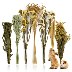 Sukh cama natural hamster flor herb sprays: descanso cómodo y seguro para roedores