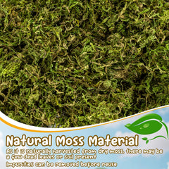 Sukh Hamster Moss textura esponjosa: fomenta excavación y nidos.