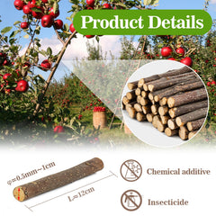 Sukh palitos manzana orgánicos 250 g, enfoque en dientes, uso para roedores.