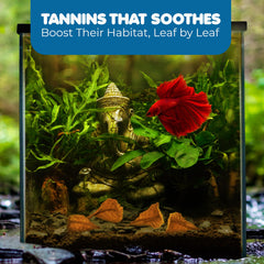 Acuario con hojas para Betta SunGrow