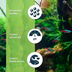 SunGrow Agua con pH reducido por Catappa, mayor estabilidad del acuario