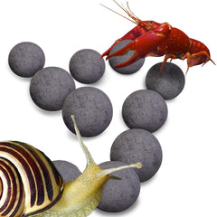 SunGrow bolas energizantes para caracoles y cangrejos: mayor actividad diaria