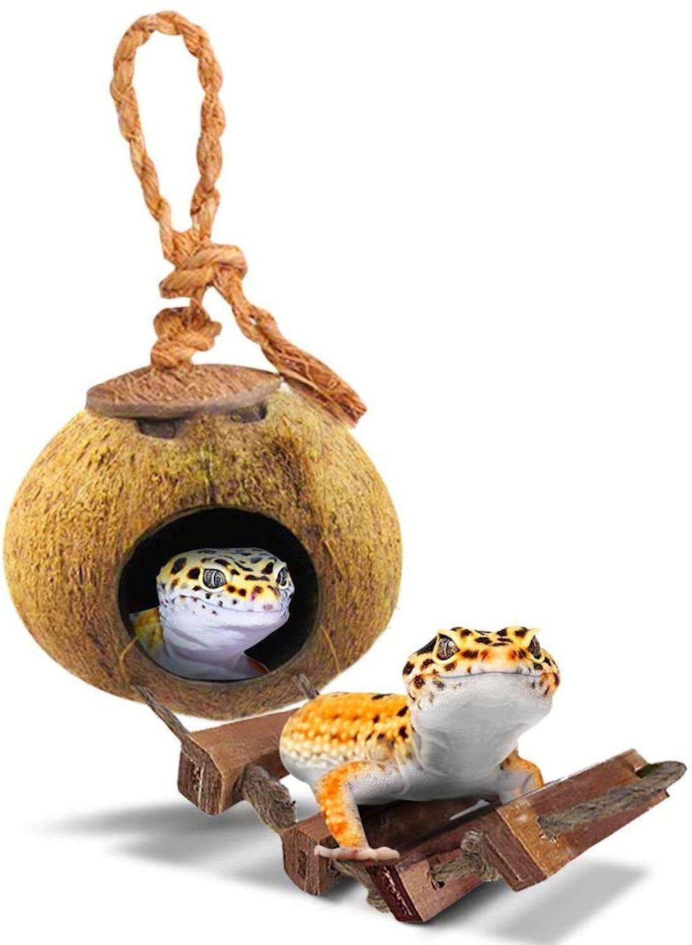 SunGrow casa coco para geckos, refugio natural para dormir y esconderse en el terrario.