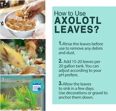 SunGrow Uso natural para axolotl, refugio y alimento suplementario para especies.