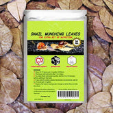 SunGrow hojas Catappa para acuario, refugio cómodo para caracoles.