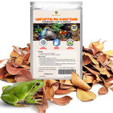 SunGrow hojas Catappa para terrario mejoran la humedad y refugio para ranas.