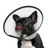 Supet cono ajustable para perro durante recuperación.