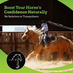 SynNutra Equine SynChill AF gel para viajes y traslados del caballo