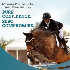 SynNutra Equine SynChill, escena-entrenamiento, caballo concentrado sin interferencias.