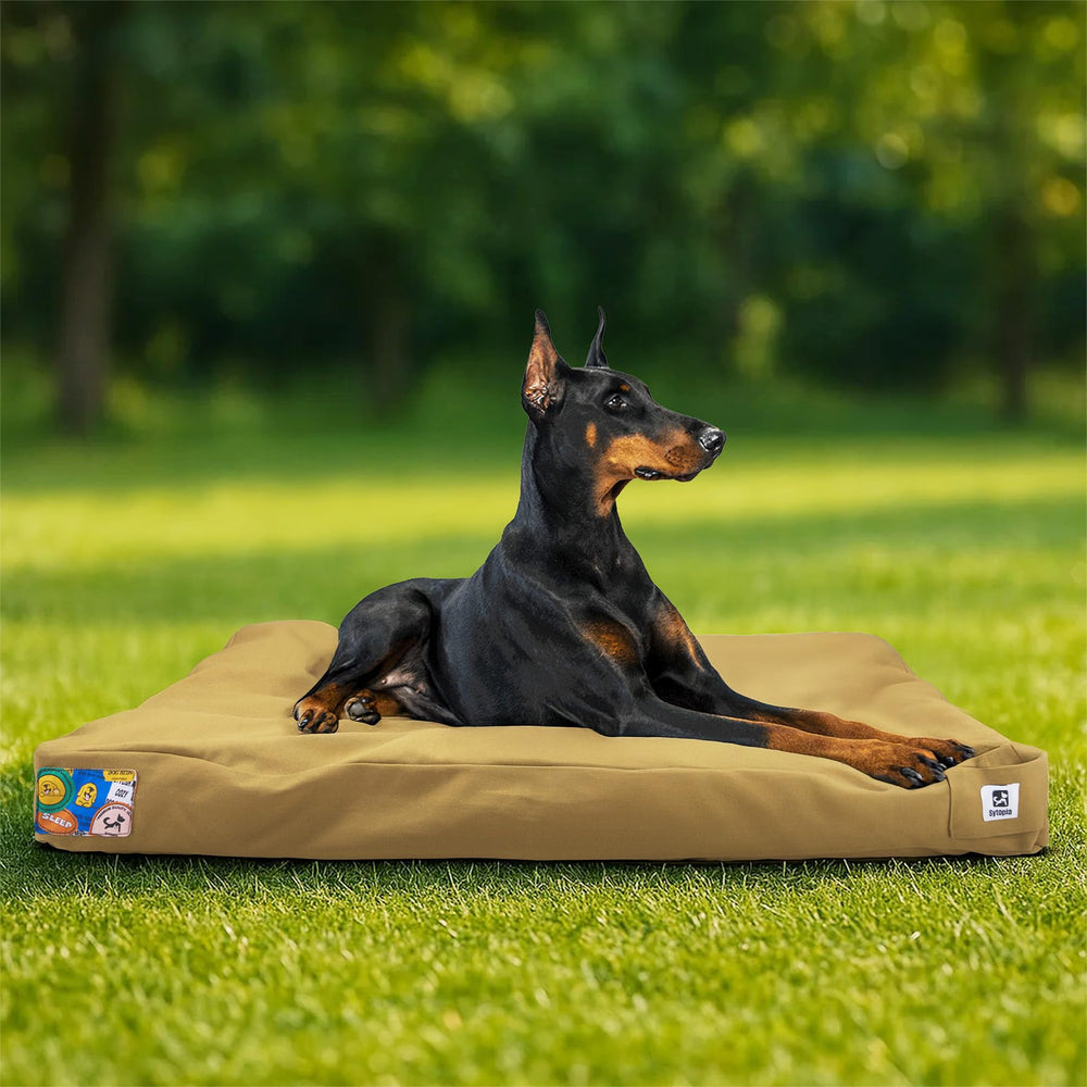 Cama para perro exterior Sytopia en lona resistente, ideal para patio