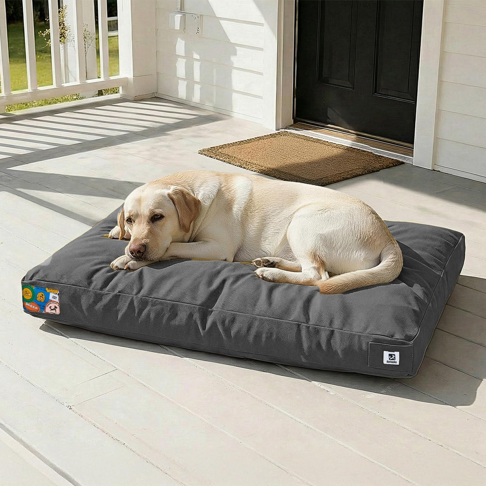 Sytopia cama para perro indestructible exterior, ideal para uso diario al aire libre.